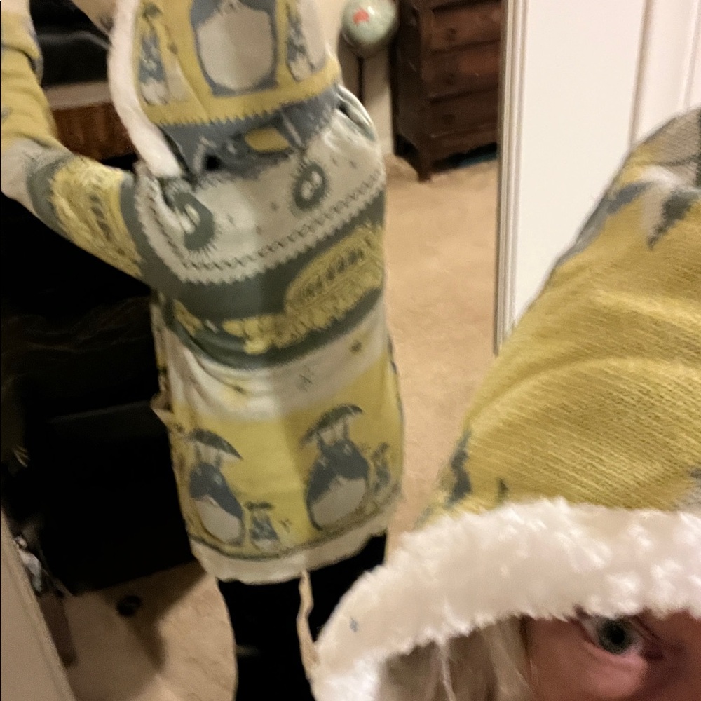 Studio Ghibli My Neighbor Totoro Fair Isle Sherpa Cardigan Yellow Blue hooded - Picture 6 of 8